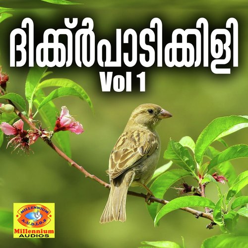 Ilahaya - Baby Bahjidha