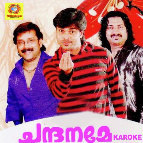 Paatuketu - Various Artists