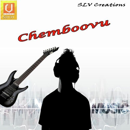 Chottanikkarayil 1 - Bindu