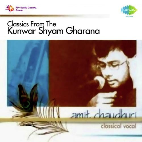 Puriya Kalyan (Slow)  Amit Chaudhuri - Amit Chaudhuri