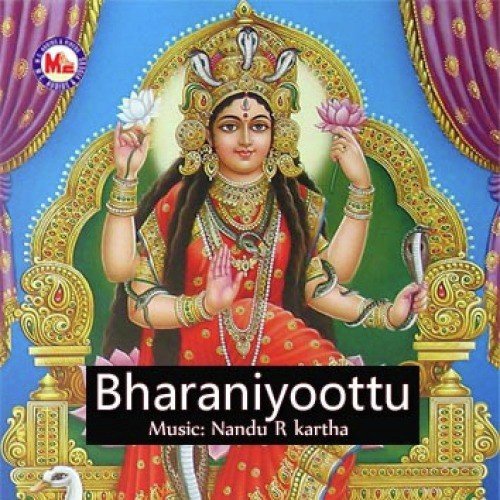 Sankara Nandini - Various Artists