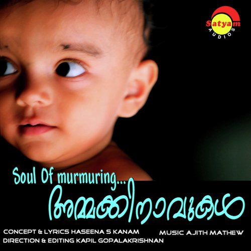 Pinvili - Ajith Mathew