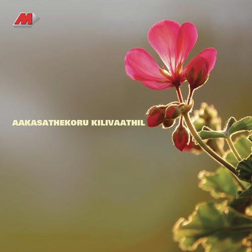 Mizhikalil - Ouseppachan