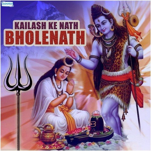 Jaago Hey Mahadev (From Jago He Mahadev) - Shivam Bihari