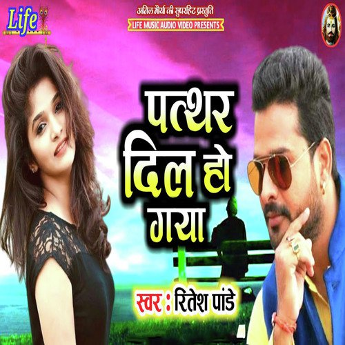 Patthar Dil Ho Gaya - Ritesh Pandey