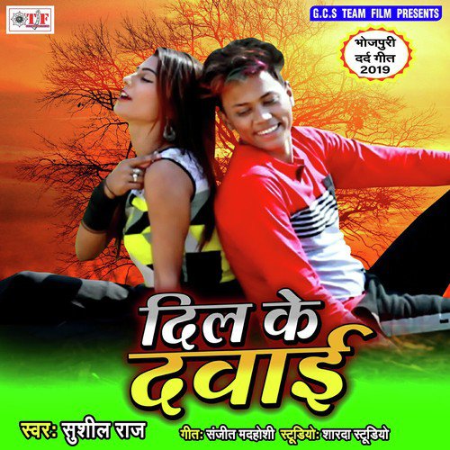 Hamara Dil Ke Dawai Hau Ho - Sonu Raj, Anshu Bala