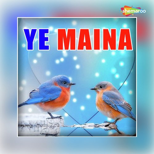 Hamaraa Chaahi - Paras, Richa, Krishna