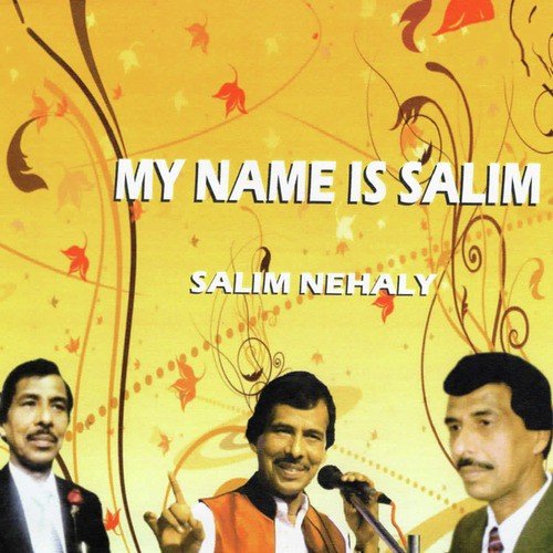Jawani Pe Teri Nazar Hai - Salim Nehaly