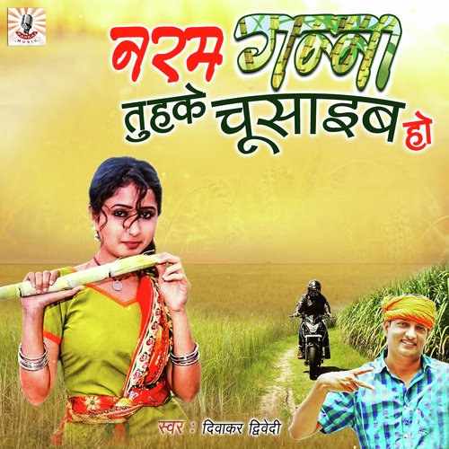 Naram Ganna Tuhkey Chusaib Ho - Diwakar Dwivedi