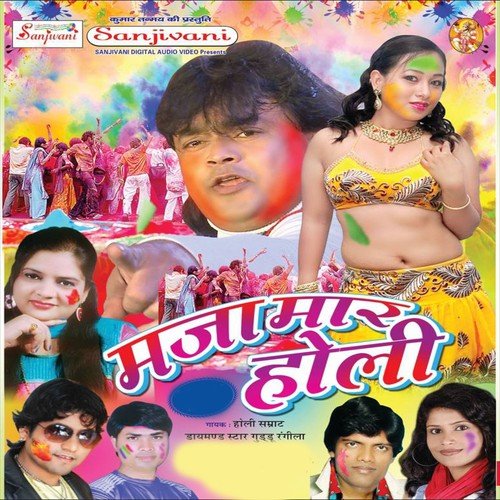 Teri Na Mera Sarkari Hai - Various Artists