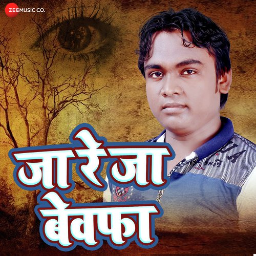 Ja Re Ja Bewafa - Ashish Verma