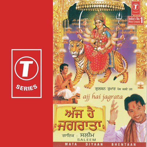 Shiv Vivah - Saleem, Saleem-Parvez
