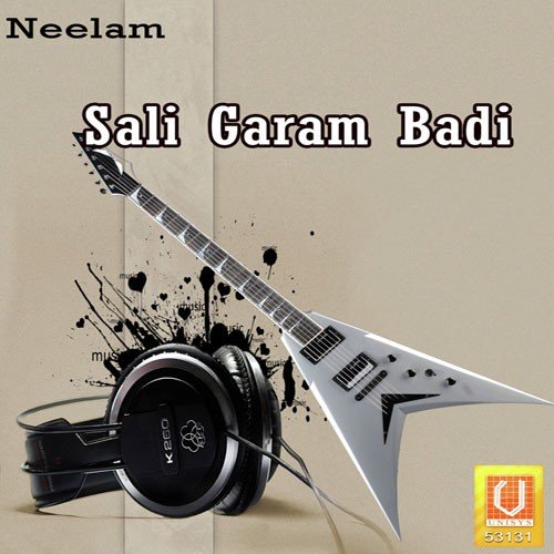 Sali Garam Badi - Dhrupji Premi 039vyas039