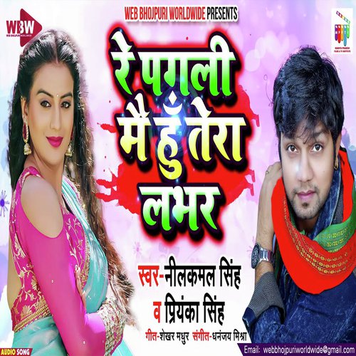 RE PAGLI MEIN HOON TERA LABHAR - Neelkamal Singh, Priyanka Singh