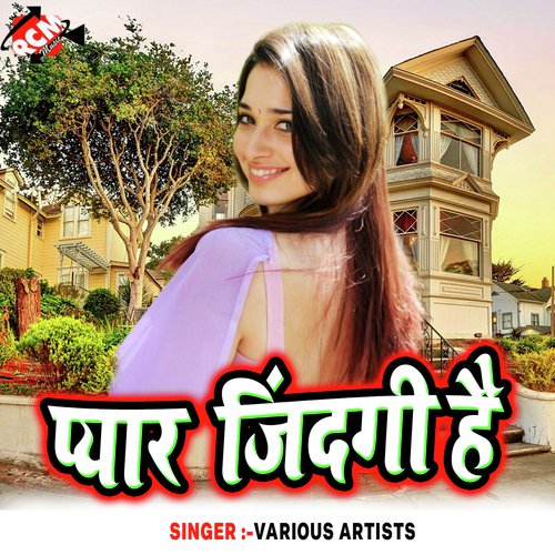 Baru Jila Me Akhi Namuna - Various Artists