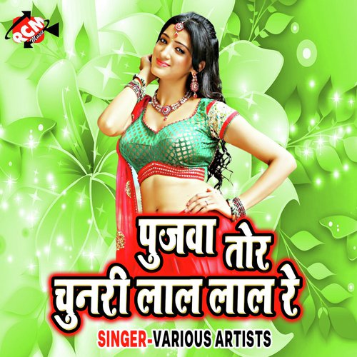 Thanda Me Kam Nahi Hoi Raja Ji - Various Artists