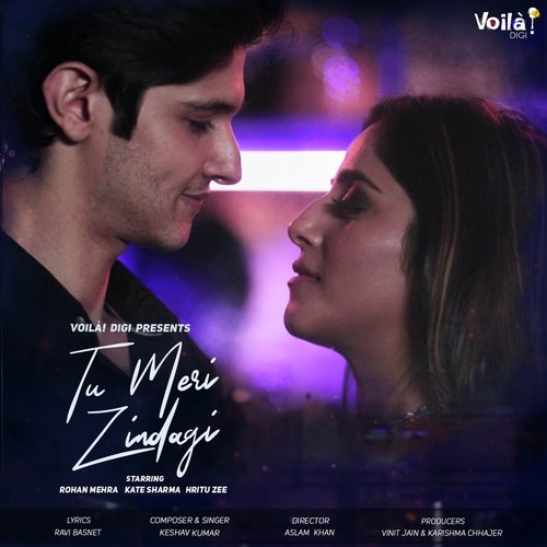 Tu Meri Zindagi - Yasser Desai, Harshit Saxena