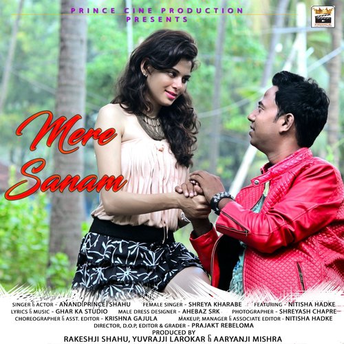 Mere Sanam - Anand Shahu