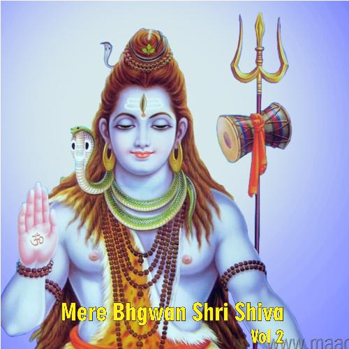 Tu Nageshwar Tu Hi Maheshwar - Various Artists