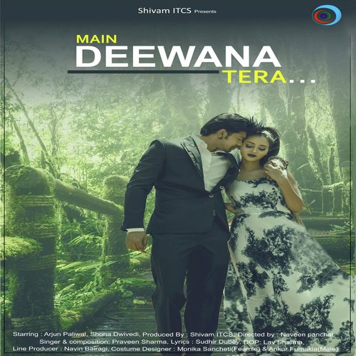 Main Deewana Tera - Praveen Sharma