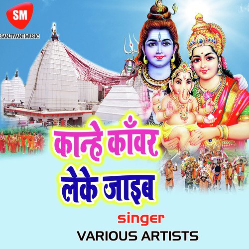 Dani Dyani Kripalu Bra - Various Artists