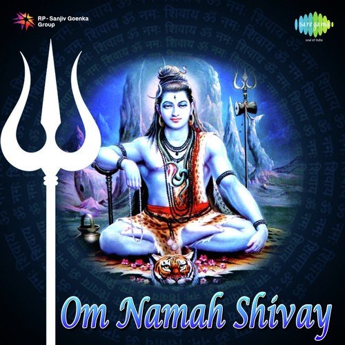 Om Namah Shivay - Dhun - Vinod Sharma 039Aatmvinod039