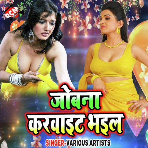 Gori Odhani Ba Lal Lal Re - Various Artists