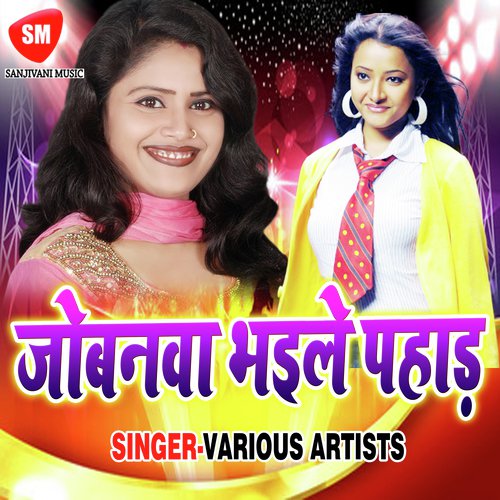 Dekhab Jani Choli - Various Artists