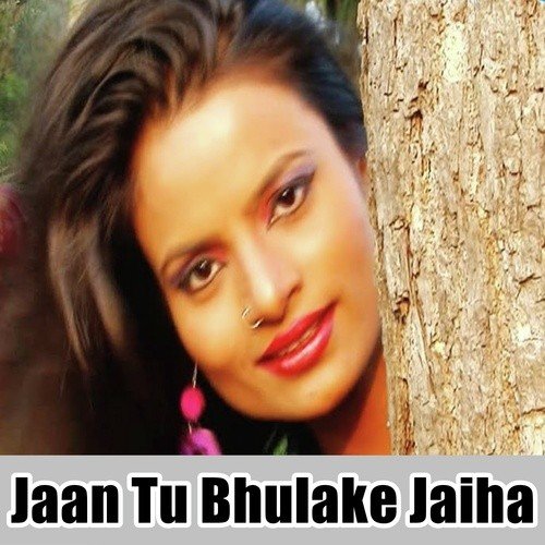 Choli Me Mobile Bole Hare Ram Hare - Payal Studio