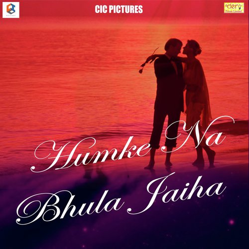 Dil Se Aawaj - Various Artists
