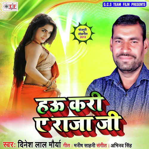 Hau Kari Ye Raja Jee - Dinesh Lal Morya
