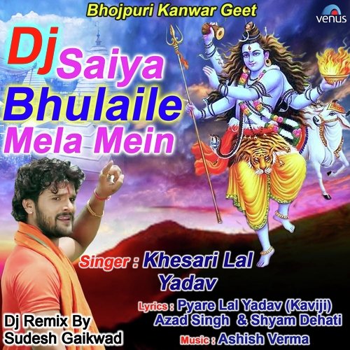 Dj Saiya Bhulaile Mela Mein - Kallu Diwana