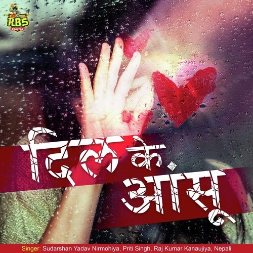 Gailu Bhulai - Various Artists