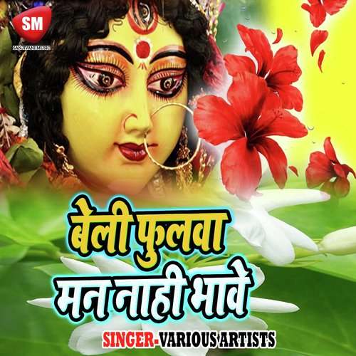 Maiya Tere Bhawan Me - Various Artists