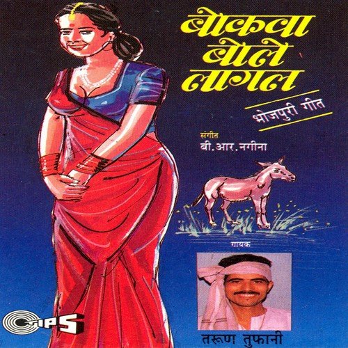 Madhur Bol Bole Gori Tori Paijaniya - Tarun Tufani