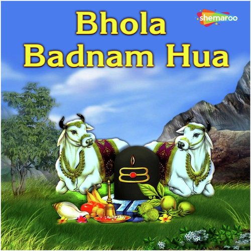 O Devo Ke Dev Sankar - Saleem
