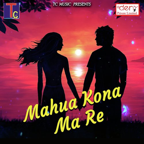 Sadhu Santo Ke Kahana La Man - Various Artists