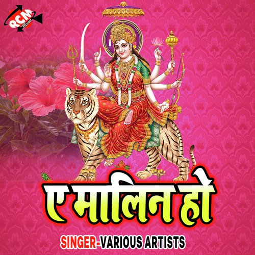 Aho Chhathi Maiya - Various Artists