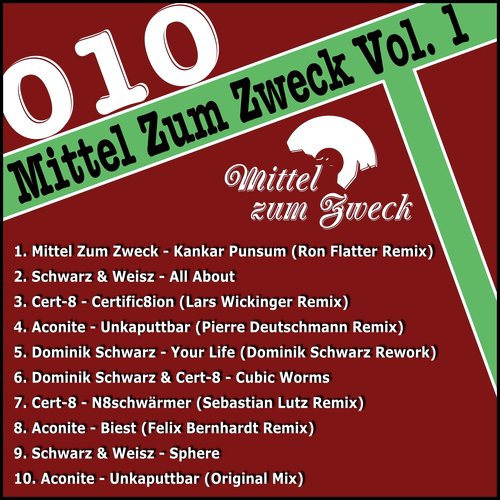 N8schwaermer (Sebastian Lutz Remix) - Various Artists