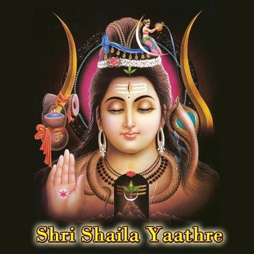 Srigiri Mallayya - Various Artists