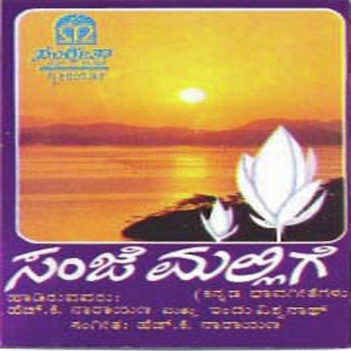 Shruthi Sukha Ninade - Various Artists
