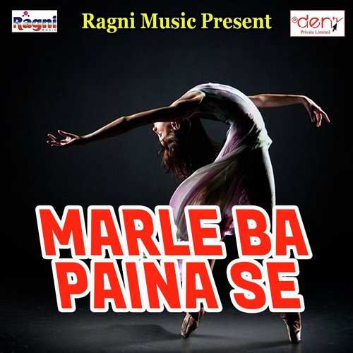 Facebook Wala Maal Hiya Re - Various Artists
