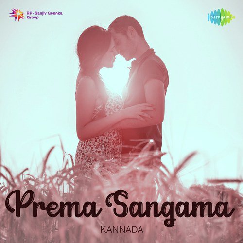 Neerabittu Nelada Mele (From Hombisilu) - Various Artists