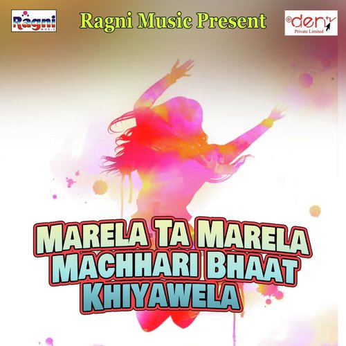 Dilwa Me Bas Gailu - Various Artists