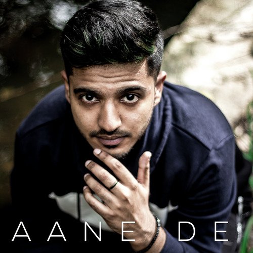 Aane De - Vrindam