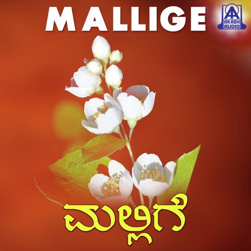 Bhagyada Balegaara - Various Artists