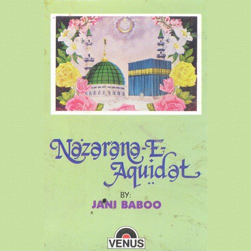 Aaisa Koi Mehboob Hua Hai - Jani Baboo