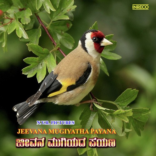Jeevana Mugiyatha Payana - G. K. Venkatesh