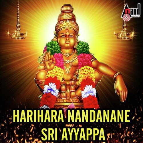 Ayyappanellaru Kondadiro - Various Artists