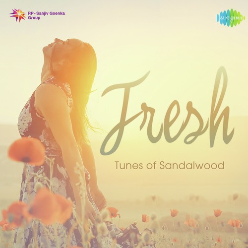 Nadithide Gaadi (From Manasina Putadali) - Various Artists